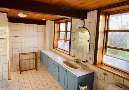 内克瑟Wildernest Bornholm的一间带水槽和镜子的浴室