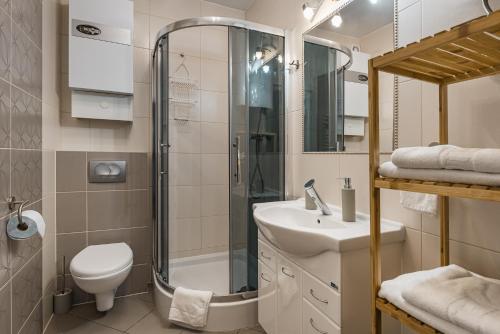 什恰夫尼察Apartamenty Tyrol的带淋浴、卫生间和盥洗盆的浴室