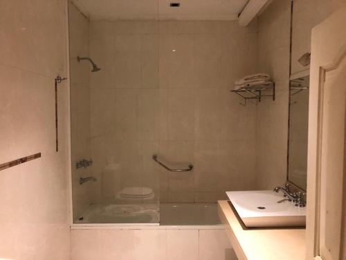 雷西斯膝西亚Del Pomar Hotel Boutique的带淋浴和盥洗盆的浴室