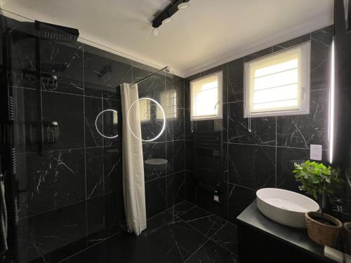 迪斯Douceur champenoise的带淋浴和盥洗盆的黑色浴室