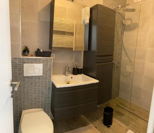 安特卫普Zwarte Arend AirBnB的浴室配有卫生间、盥洗盆和淋浴。
