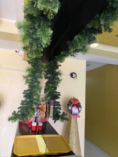 巴兰卡HOTEL G&EMP Rador BARRANCA的房间的墙上有一棵圣诞树