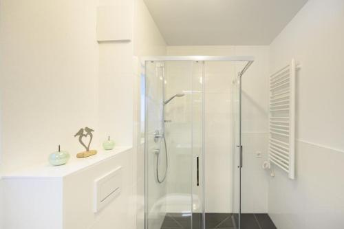 奥巴拉马高Ferienwohnung Am Kofel的白色浴室设有玻璃淋浴间