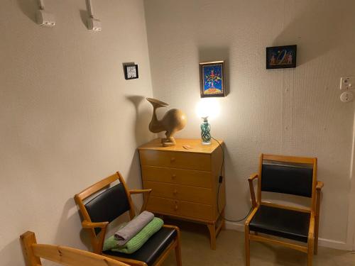 GunsjögårdenFristad Hostel Vitsand的一间设有两把椅子、一个梳妆台和一盏灯的房间