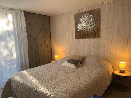 FanjeauxGîte Au Coeur Du Pays Cathare的一间卧室配有一张床、两盏灯和一个窗户。