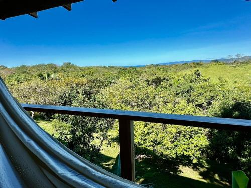 圣塔特蕾莎海滩Calamocha Lodge的阳台配有吊床,享有森林美景