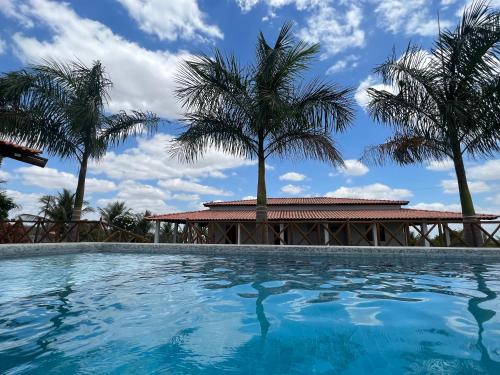 SerrinhaSítio recanto das Palmeiras的一座棕榈树环绕的游泳池