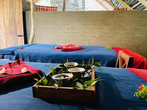 锡吉里亚Prana Ayurveda Chalet- Sigiriya的一间设有两张蓝色床单和植物的床的房间