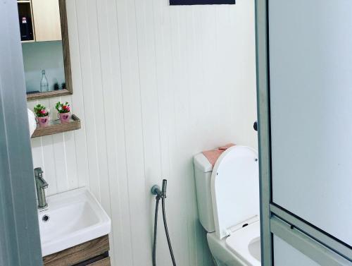 马六甲ADRIANA CABIN的一间带水槽、卫生间和镜子的浴室