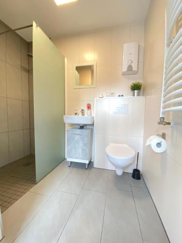波恩Schulz Apartments的白色的浴室设有卫生间和水槽。