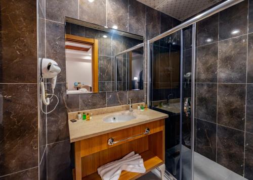卡尔斯IŞIL PARK HOTEL的一间带水槽和淋浴的浴室