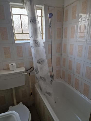 卢萨卡Salama House的带浴缸、卫生间和淋浴帘的浴室