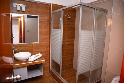 塔克纳HOTEL SUDAMERICANA INN的带淋浴和盥洗盆的浴室