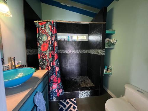 乌蒂拉Dockside Utila Ocean front suites的带淋浴和蓝色水槽的浴室