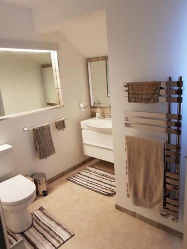 EvertonBarn Court Bed and Breakfast的一间带卫生间、水槽和镜子的浴室