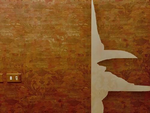 Sheikh ZayedSheikh zayed Tata的把一幅墙上的画,把一根开关挂起来