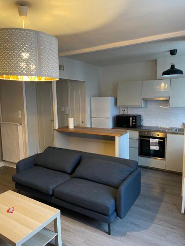 格勒诺布尔magnifique Duplex avec 2 chambres et parking gratuit的一间带蓝色沙发的客厅和一间厨房