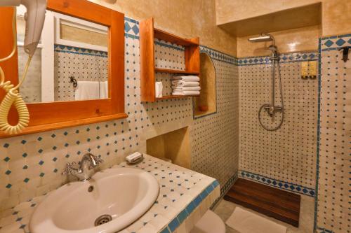 索维拉车姆斯布鲁酒店的一间带水槽和淋浴的浴室