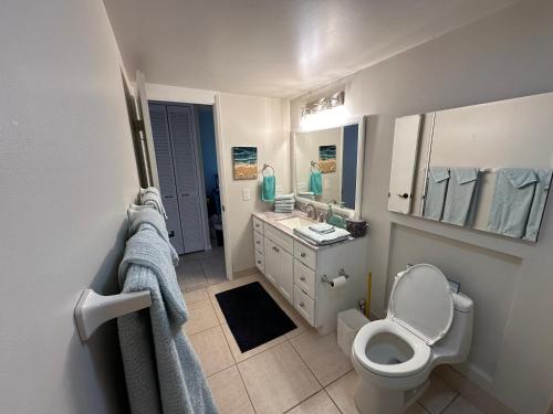 科纳Oceanfront Penthouse with Loft的一间带卫生间、水槽和镜子的浴室
