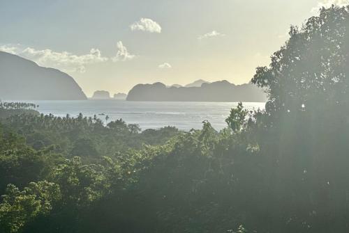 爱妮岛TukoKubo的从树木茂密的山丘上欣赏海景