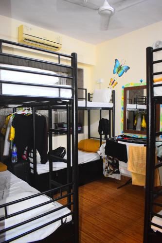 孟买Prince Solo Hostel的一间设有三张双层床的客房,墙上挂着蝴蝶