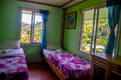 巴纳韦BANAUE EVERGREEN HOSTEL AND RESTAURANT的一间卧室设有两张床和两个窗户。