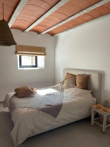 阿尔曼萨Finca Las Botas的一间卧室,卧室内配有一张大床