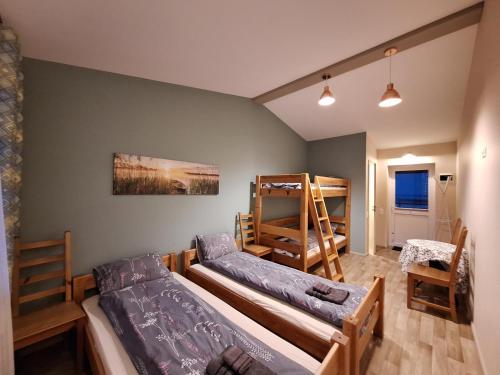 萨尔杜斯Viesu nams ADLERI的一间卧室配有两张床和一张双层床。