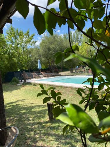 圣拉斐尔San Julián的透过树上可欣赏到游泳池的景色