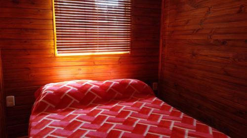 德尔迪阿布罗角Cabañas azules的木制客房的一张床位,设有窗户