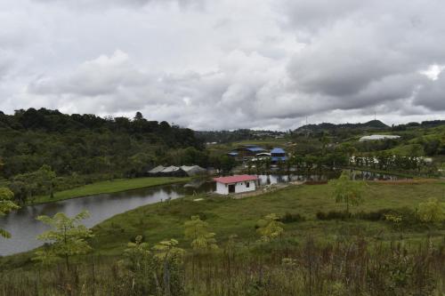 IsnosFinca el Manantial Isnos, habitación Alas de Chocolate的湖畔小山上的小房子