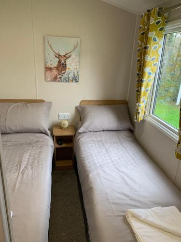 Bucks Mills4 Devon Country, Bideford Bay Holiday Park的小型客房 - 带2张床和窗户