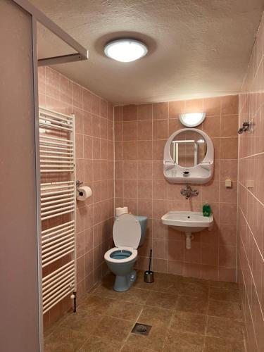 兹蒂尔Ždiarsky Dom的一间带卫生间和水槽的浴室