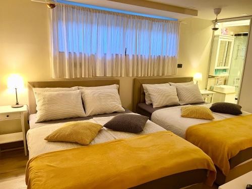 Gornji MihaljevecGran Vista Holiday Home的一间卧室设有两张带黄床单的床和窗户。