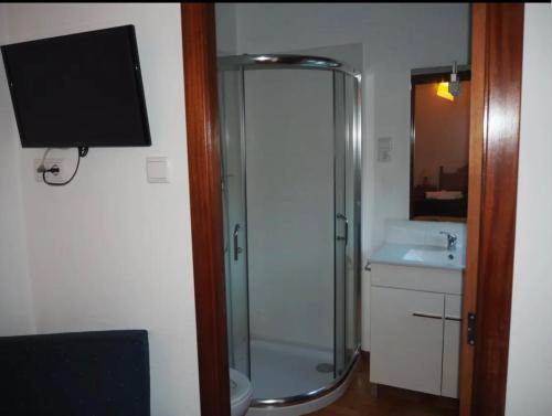 佩德拉斯萨尔加达斯Monte Carlo - Alojamento Local的带淋浴和盥洗盆的浴室以及电视。