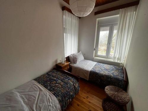卡尔派尼西翁Chalet Karpenisi的一间卧室设有两张床和窗户。