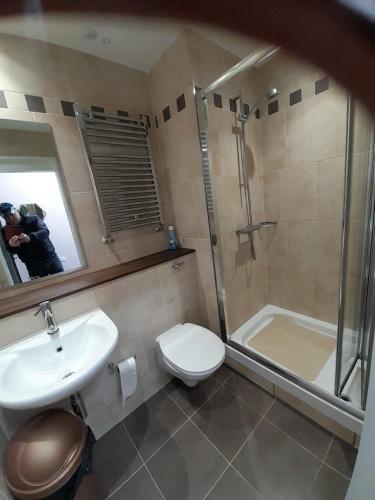 恩尼斯基林Killynick Glamping Oiney Fishing County Fermanagh的浴室配有卫生间、盥洗盆和淋浴。