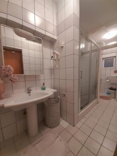 莫斯塔尔Pansion Ponte的一间带水槽和淋浴的浴室