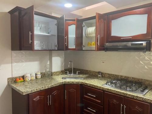 圣希尔Hermoso Apartamento en San Gil的厨房配有水槽、炉灶和橱柜。