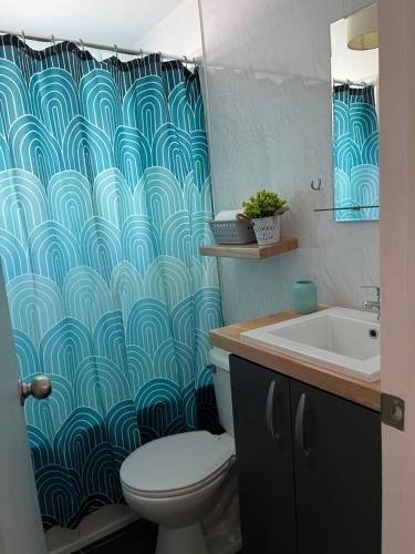 纳塔列斯港Casa Entre Glaciares的一间带卫生间和淋浴帘的浴室