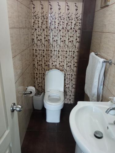 皮斯科Casa villa Eru的一间带卫生间和水槽的小浴室