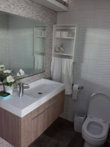 皮斯科Casa villa Eru的一间带水槽、卫生间和镜子的浴室