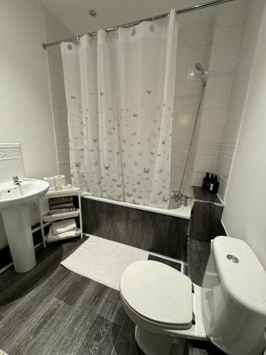 曼彻斯特Manchester Cosy flat close to City Centre and City stadium的浴室配有卫生间、盥洗盆和淋浴。