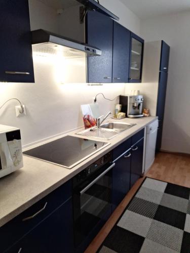 ErlaufFerienwohnung的厨房配有蓝色橱柜和水槽