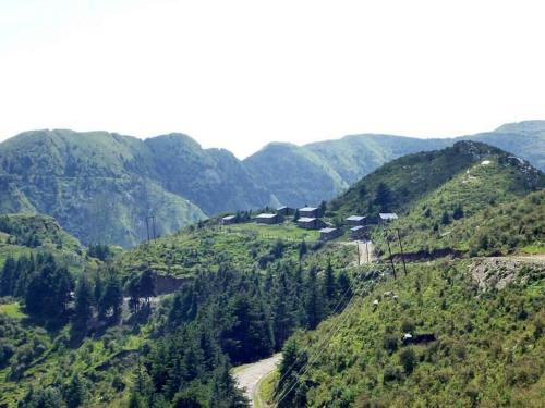 SāhiyaChaani Churani的享有树木和道路的山景