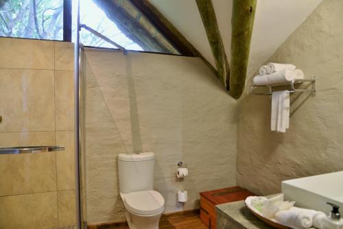 维多利亚瀑布维多利亚瀑布野生动物园套房酒店的一间带卫生间和玻璃淋浴间的浴室