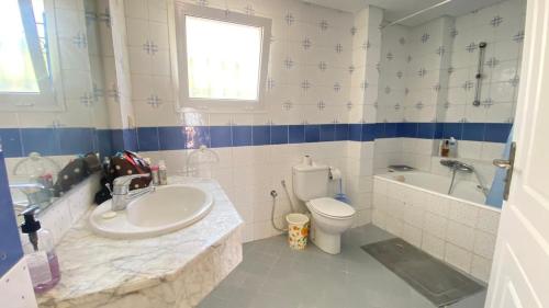 纳布勒Dar el Zyne的浴室配有盥洗盆、卫生间和浴缸。