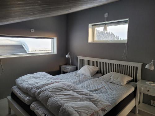 塔那比Tärnaby Ry Vy的卧室内的一张床位,设有两个窗户