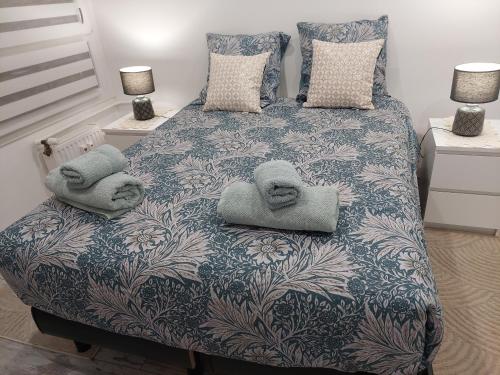 斯特拉斯堡PORTE DE FRANCE的一间卧室配有带毛巾的床