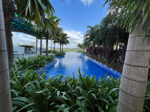 普特拉贾亚CT View Homestay by Ifaizal, Presint 15 Putrajaya的度假村内棕榈树游泳池